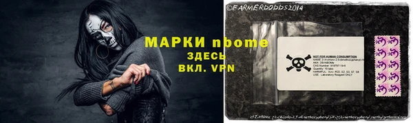 хмурый Абаза