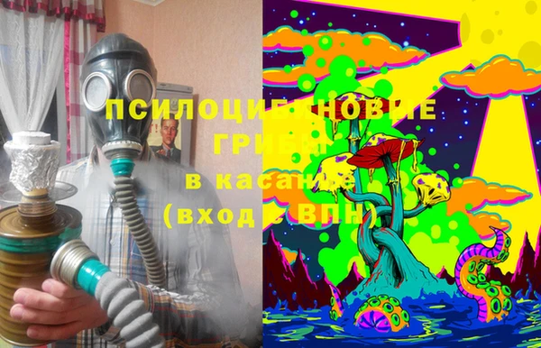 мяу мяу мука Алексеевка