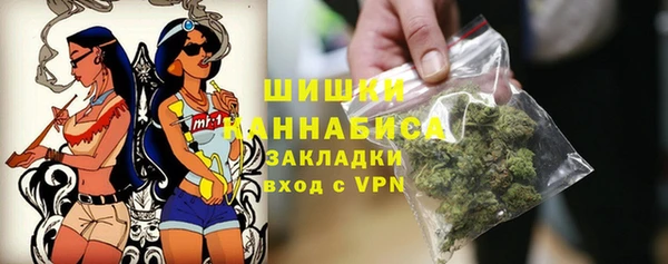 хмурый Абаза